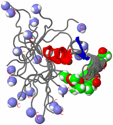 Image NMR Structure - all models