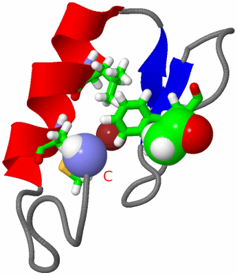 Image NMR Structure - model 1, sites