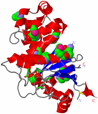 Image Asym. Unit - sites