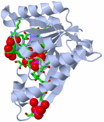 Image Biol. Unit 1 - sites