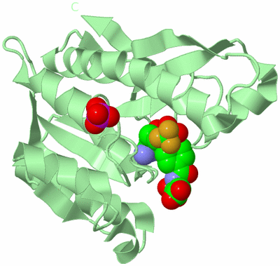 Image Biological Unit 2