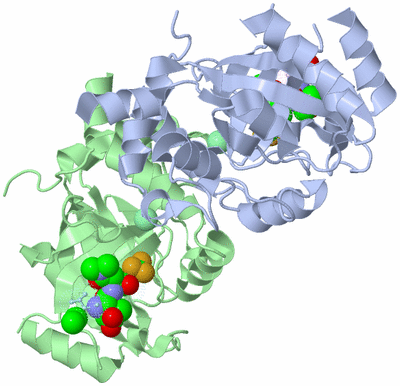 Image Biological Unit 1