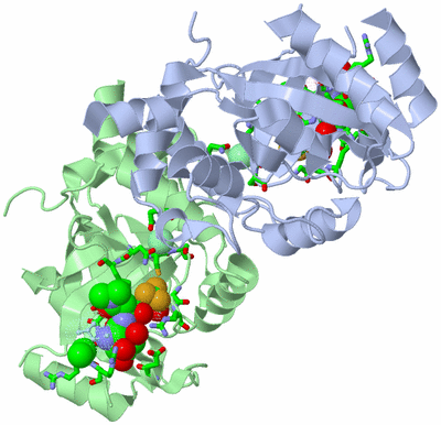 Image Biol. Unit 1 - sites