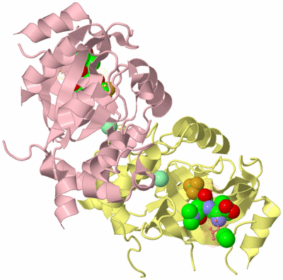 Image Biological Unit 2