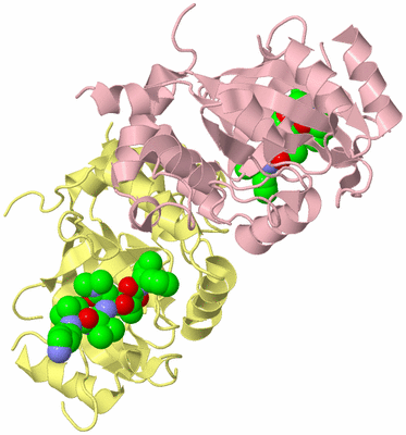 Image Biological Unit 2