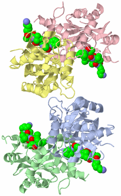 Image Biological Unit 3