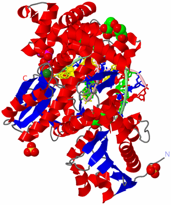 Image Asym./Biol. Unit