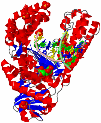 Image Asym./Biol. Unit