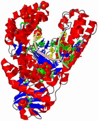 Image Asym./Biol. Unit - sites