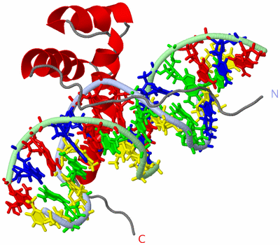 Image NMR Structure - model 1