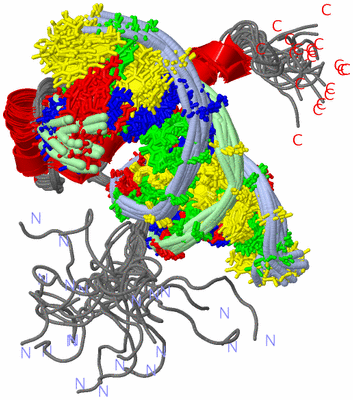 Image NMR Structure - all models