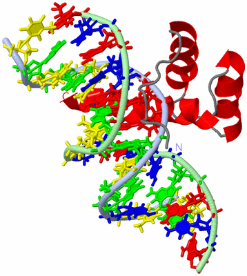 Image NMR Structure - model 1