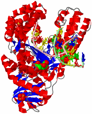 Image Asym./Biol. Unit