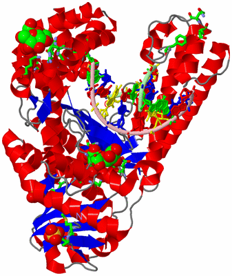 Image Asym./Biol. Unit - sites