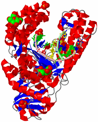 Image Asym./Biol. Unit