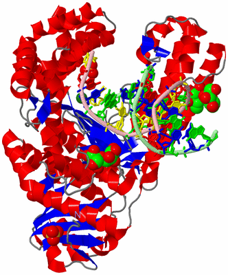 Image Asym./Biol. Unit