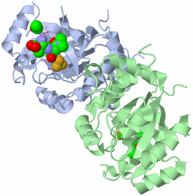 Image Biological Unit 1