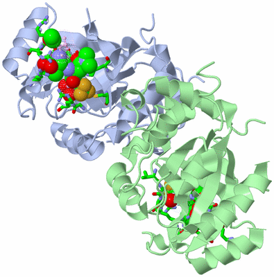 Image Biol. Unit 1 - sites