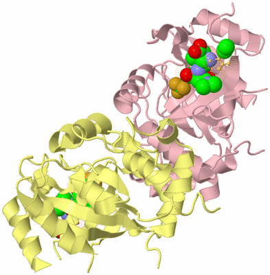 Image Biological Unit 2