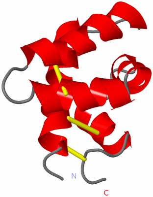 Image NMR Structure - model 1