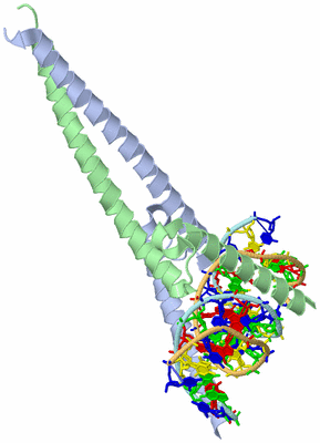 Image Biological Unit 1