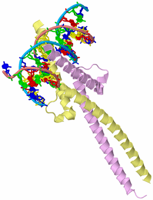 Image Biological Unit 2