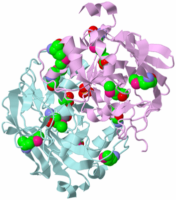 Image Biological Unit 3