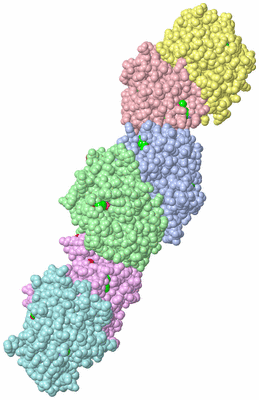 Image Biological Unit 4