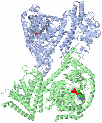 Image Biological Unit 1