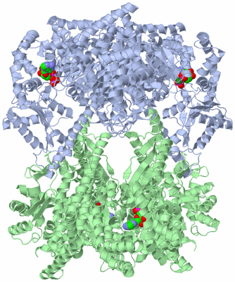 Image Biological Unit 2