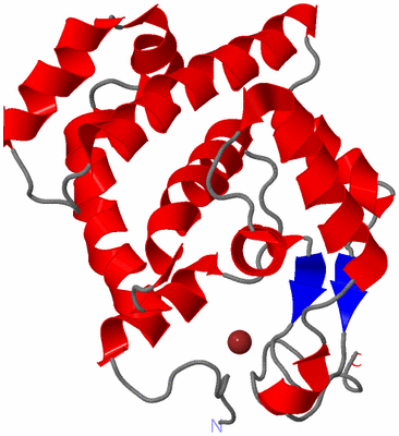 Image NMR Structure - model 1