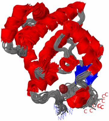 Image NMR Structure - all models