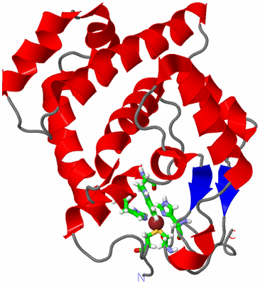 Image NMR Structure - model 1, sites