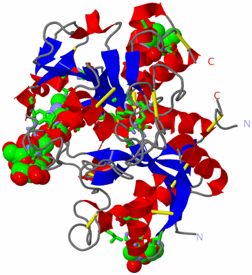 Image Asym./Biol. Unit - sites