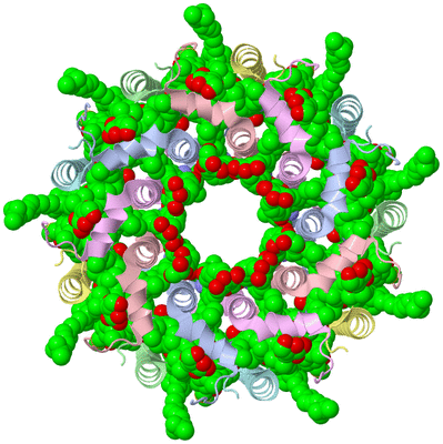 Image Biological Unit 1