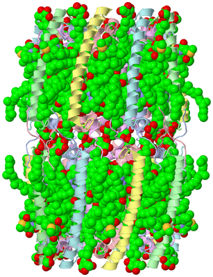 Image Biological Unit 2