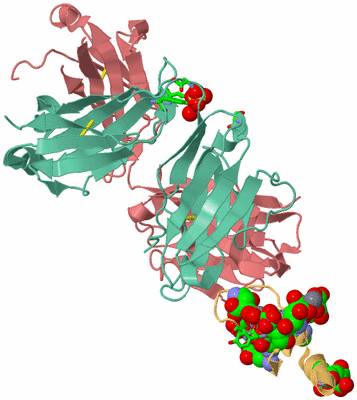 Image Biol. Unit 1 - sites