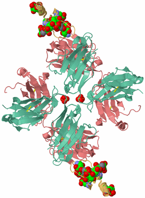 Image Biological Unit 2