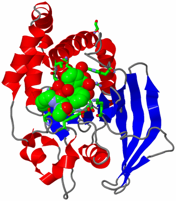 Image Asym./Biol. Unit - sites