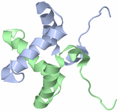 Image NMR Structure - model 1