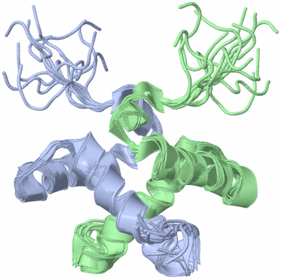 Image NMR Structure - all models