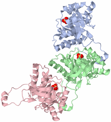Image Asymmetric Unit