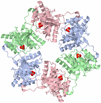 Image Biological Unit 1