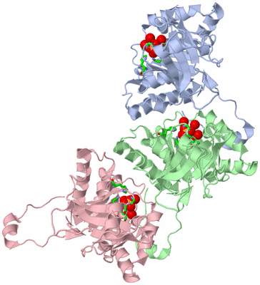 Image Asym. Unit - sites