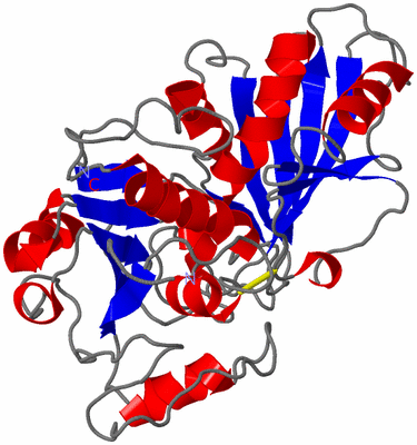 Image Theoretical Model