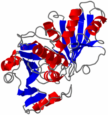 Image Theoretical Model