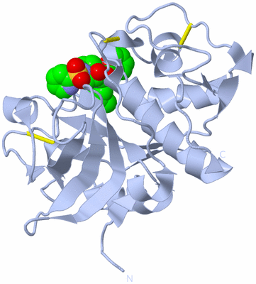 Image Biological Unit 1