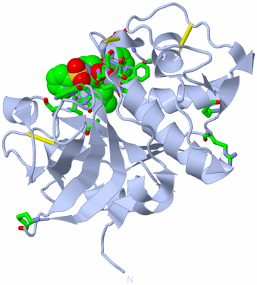 Image Biol. Unit 1 - sites