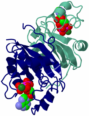 Image Biological Unit 1