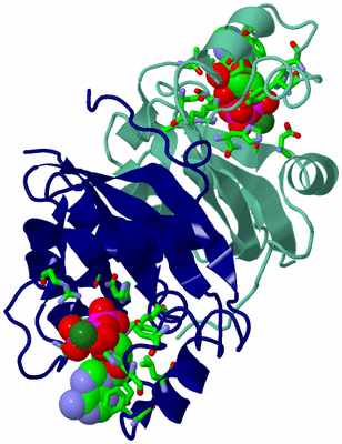 Image Biol. Unit 1 - sites